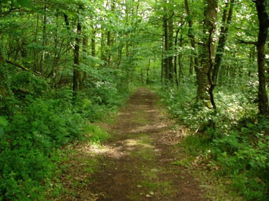 Farmstay Alpagaterie Juillac  Zewnętrze zdjęcie